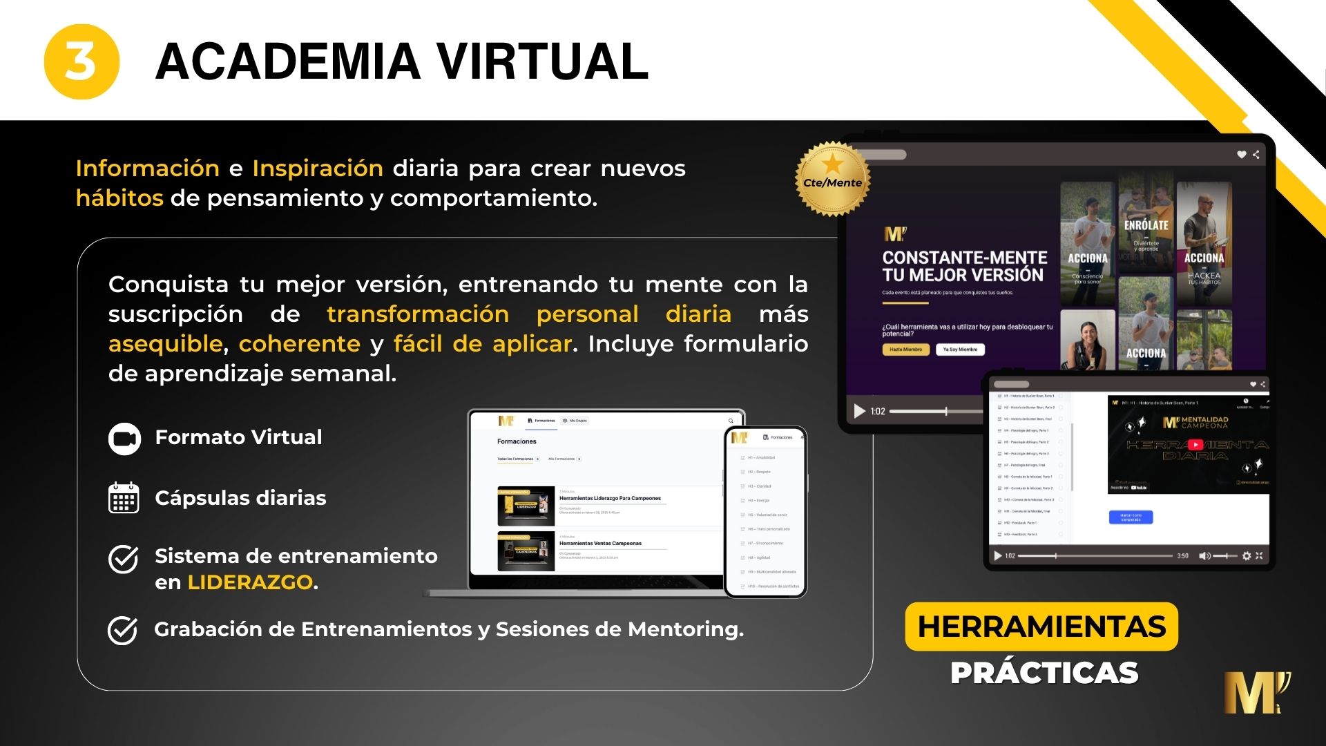 Tprogram-Lider2